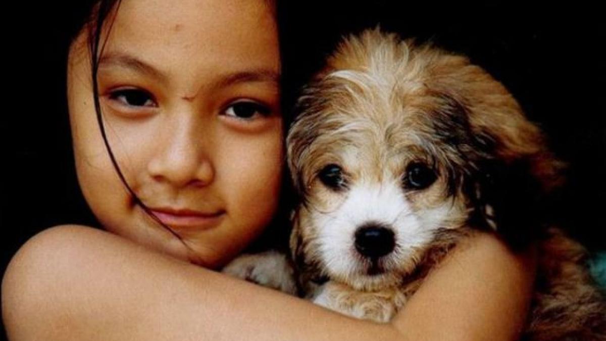 schimbarea ireversibila a timpului cum arata copila si cainele la 10 ani de cand a fost facuta poza