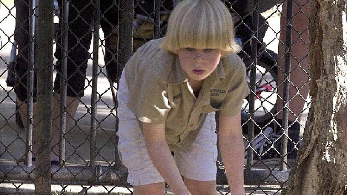asa tata asa fiu vezi de ce este in stare fiul lui steve irwin