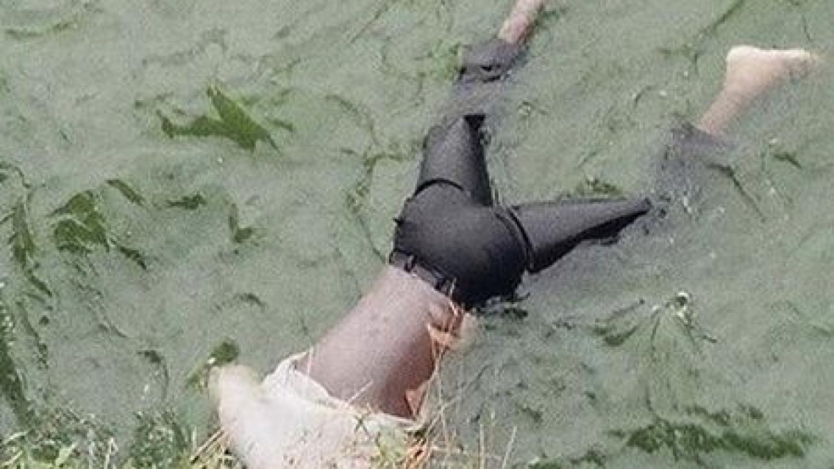 realitatea e desprinsa uneori din filmele de groaza descoperirea terifianta pe care a facut o un