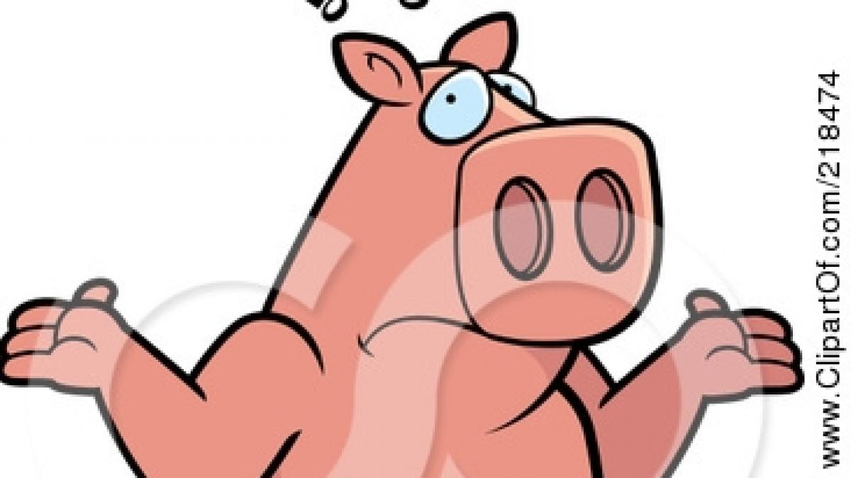 orice ar plati pentru asa servicii si totusi acestea nu sunt pentru oameni vezi despre ce este vorba