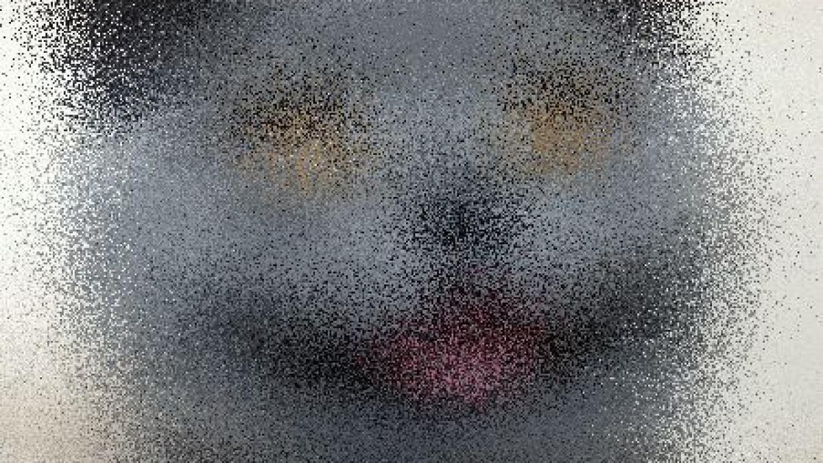 te vei indragosti de ea vezi aici cum arata cea mai dragalasa pisica din lume