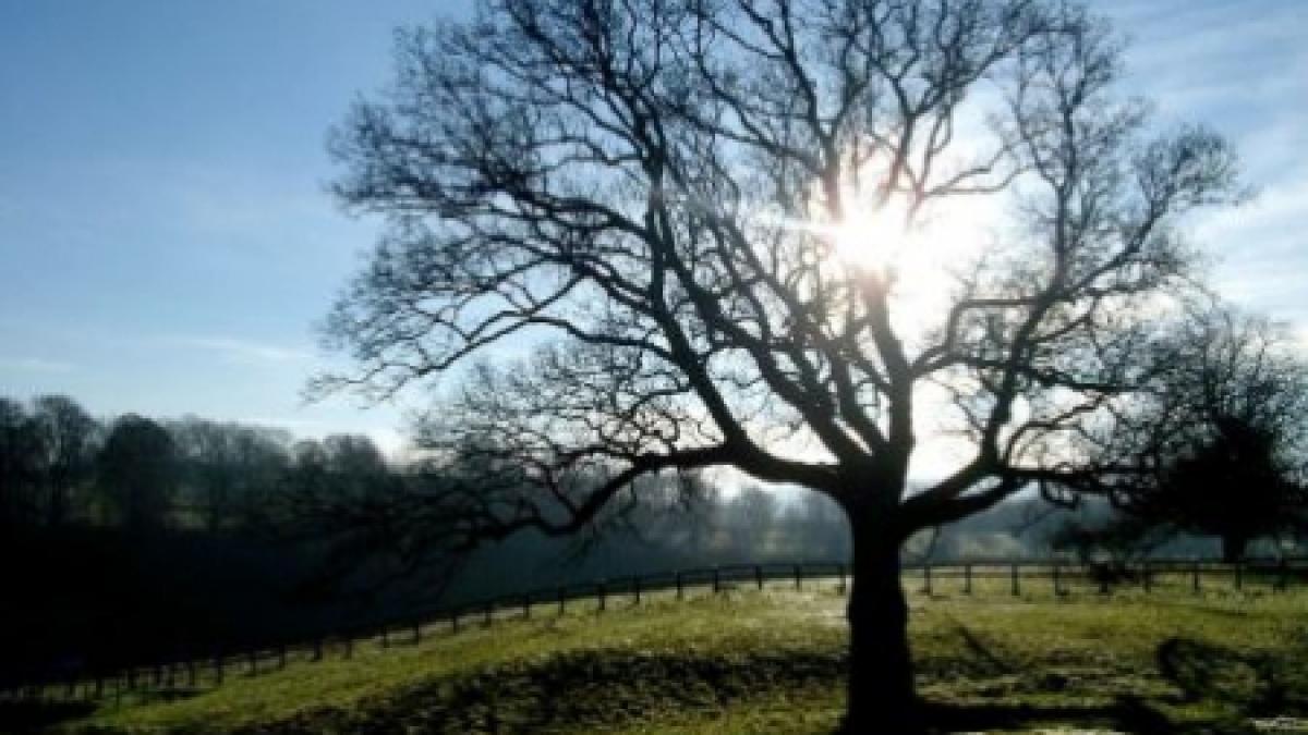 temperaturi ridicate si ploi in urmatoarele doua saptamani vezi prognoza meteo