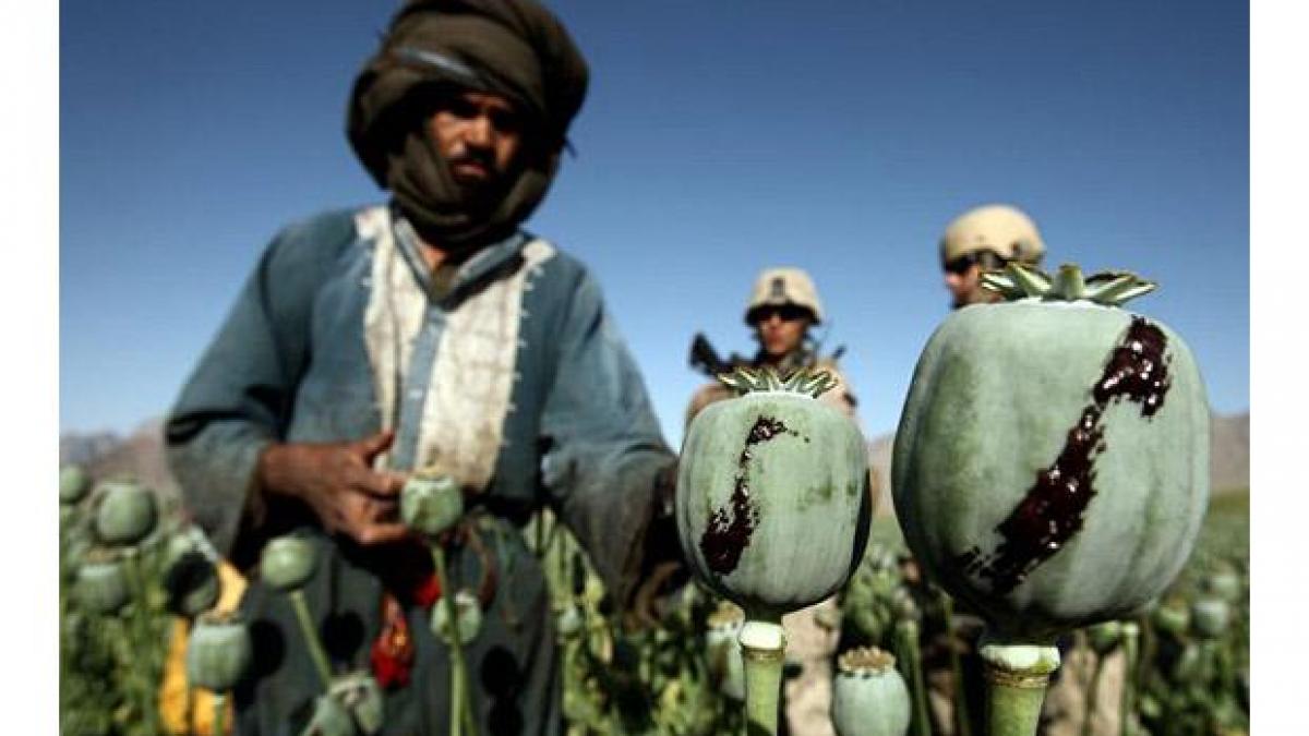 persista amenintarea terorismului si a drogurilor din afganistan