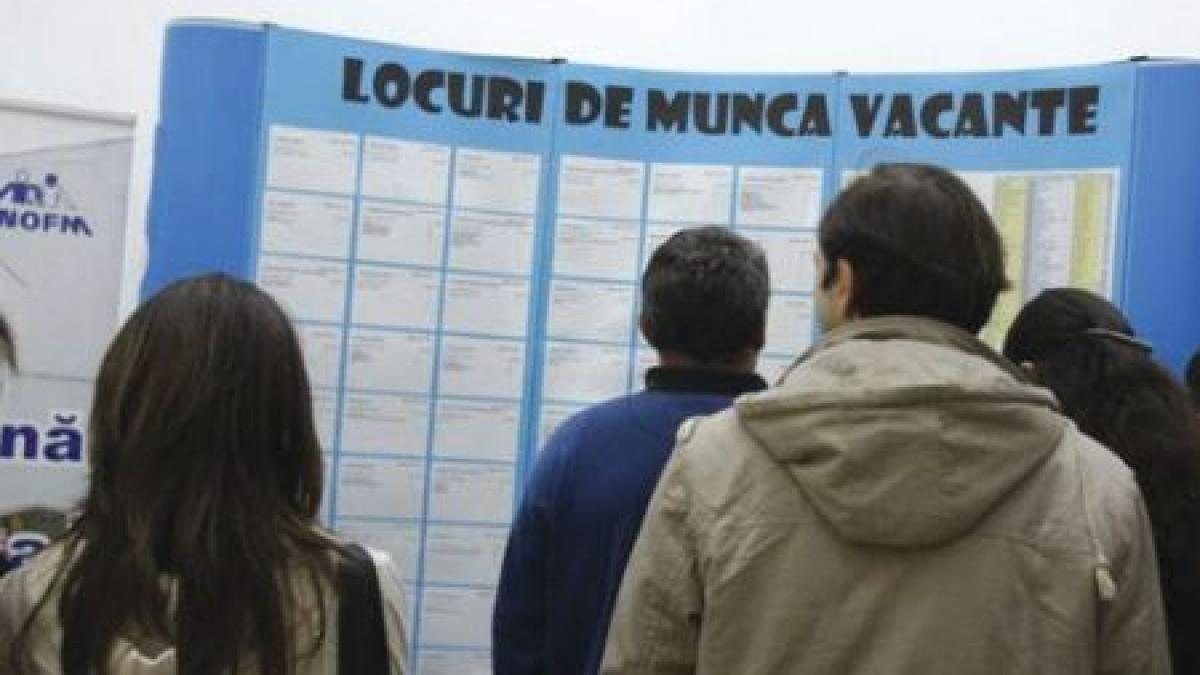 cardul profesional european va inlocui cv ul si cartea de somaj