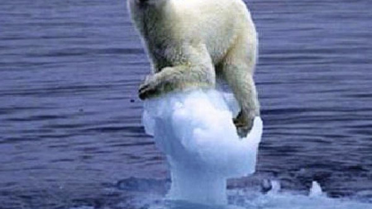 sursa la care nu te asteptai de gaze cu efect de sera incalzirea globala intr un cerc vicios