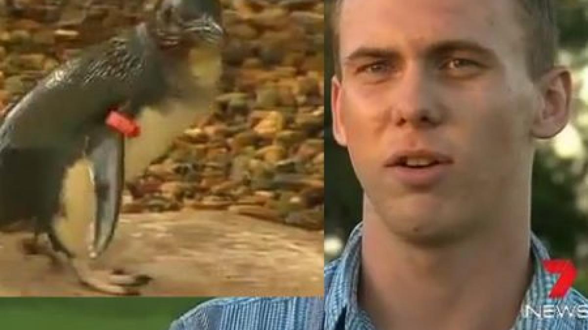 o peripetie pe care si o vor aduce aminte toata viata gestul facut la betie care a ajuns pe facebook