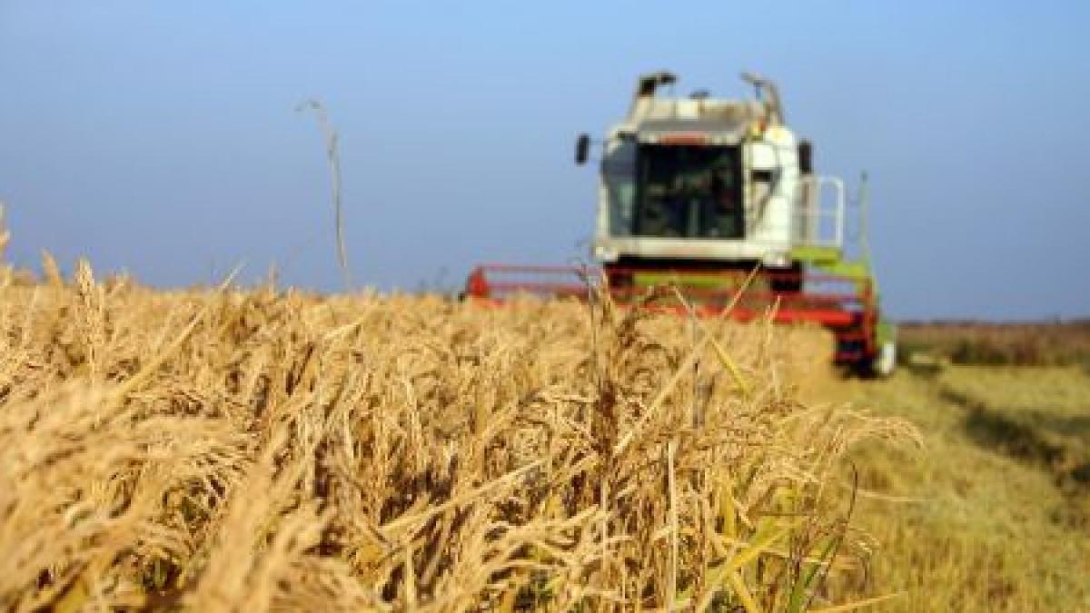 criza economica din portugalia ar putea renaste agricultura din romania