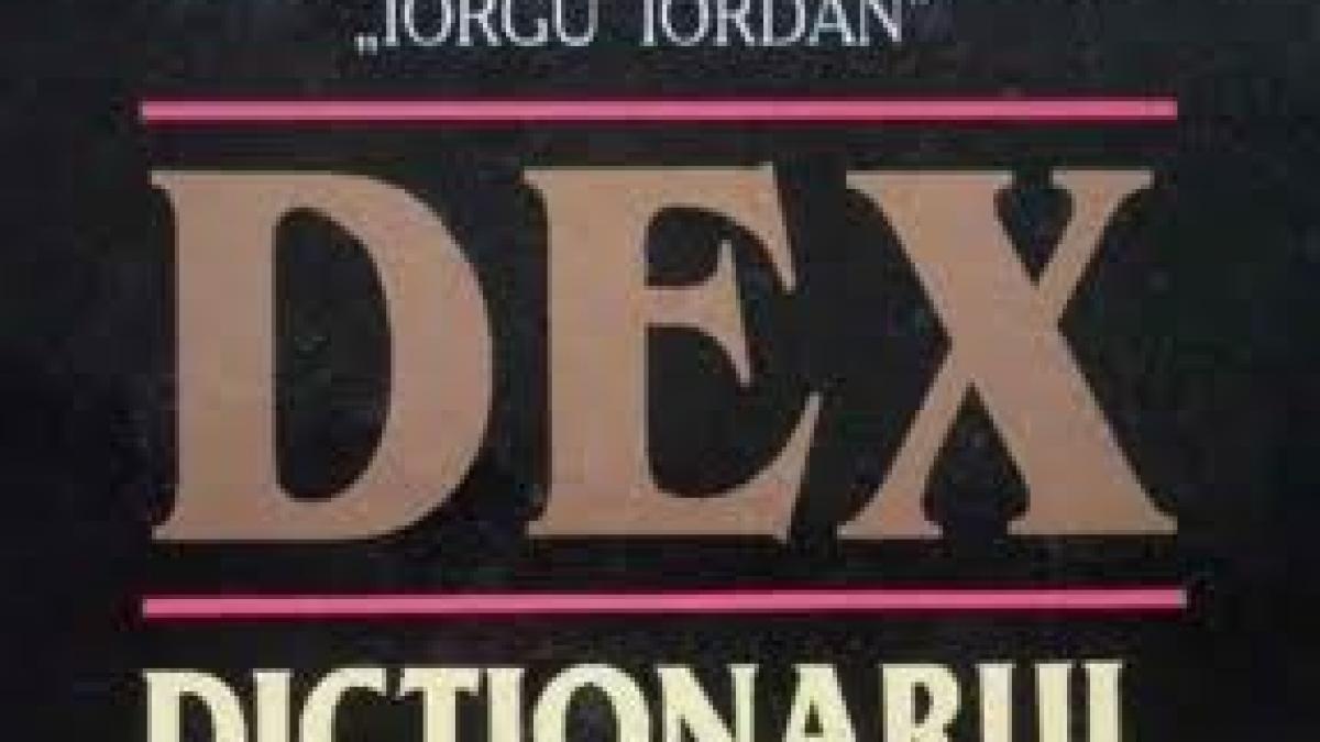 Substantivele &quot;rom&quot; şi &quot;ţigan&quot; au fost modificate în ediţia nouă a DEX