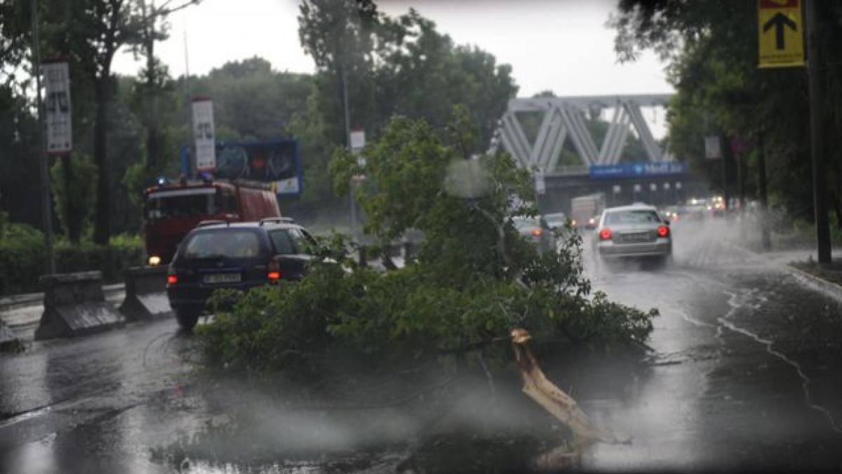 acoperisurile blocurilor pareau coli de hartie iar pomii se rupeau ca betele de chibrituri in fata