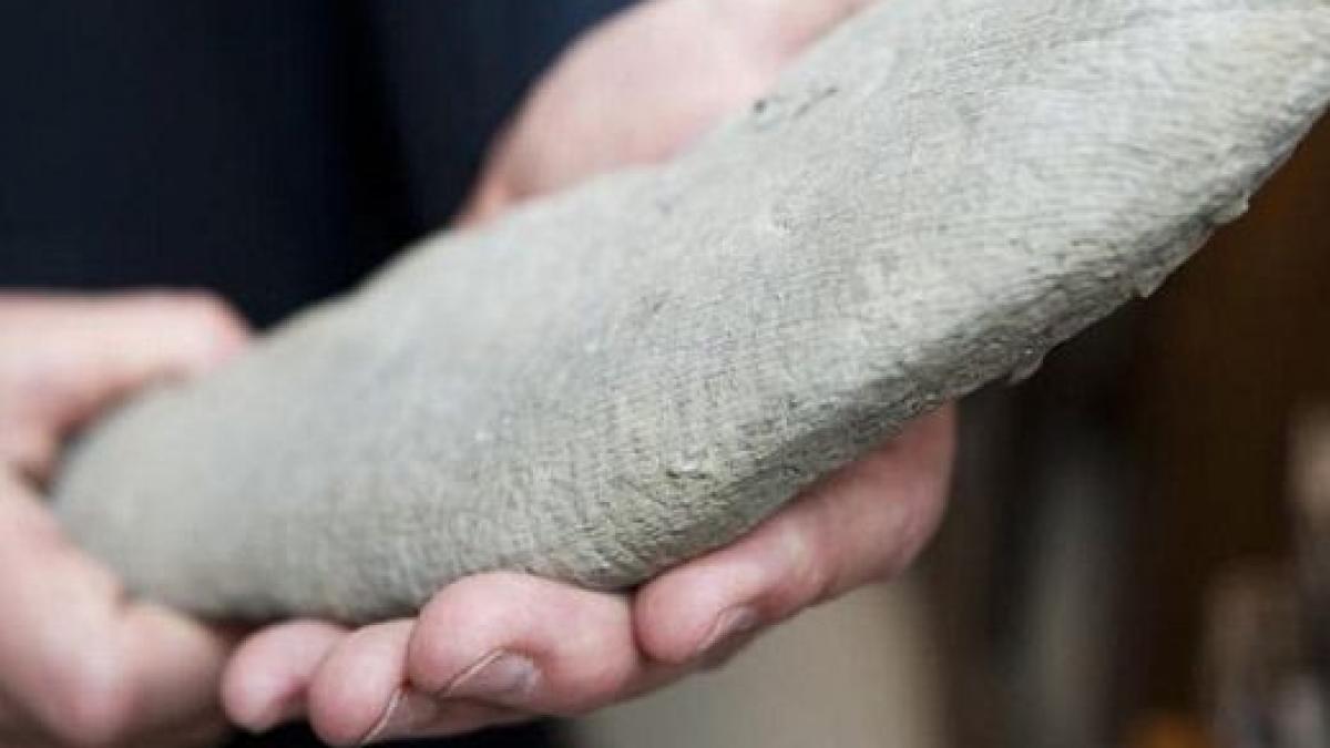 bestia care si a gasit drumul catre era moderna descoperirea i a bagat in ceata pe cercetatori