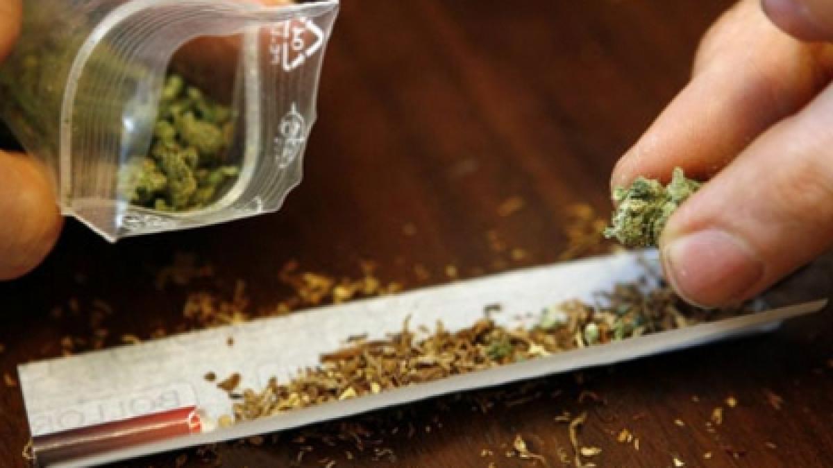 un pusti de o schioapa a mers la gradinita cu cannabis in buzunare