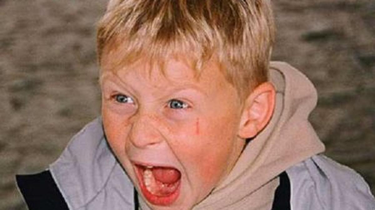 scolile au inceput sa semene cu o jungla si elevii cu animalele copiii americani au luat o razna