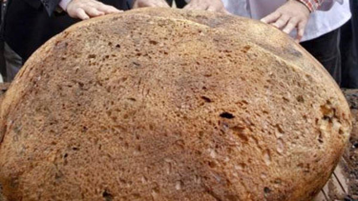 sfantu gheorghe o brutarie locala a realizat o paine de 107 kilograme
