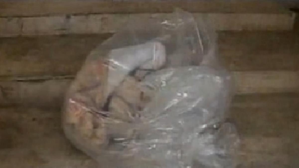 decapitat intr un sac de plastic sfarsitul tragic al unui medic tinut ostatic