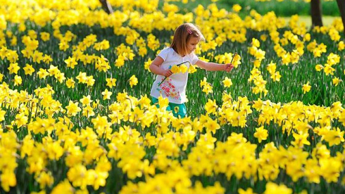 duminica a fost doar incalzirea pentru ce urmeaza afla ce surpriza ne rezerva vremea pentru