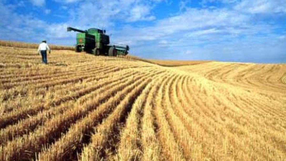 romania el dorado ul agriculturii europene mii de fermieri isi muta activitatea in tara noastra