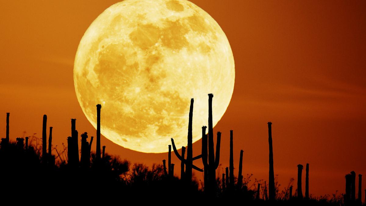 aceasta descoperire a schimbat perceptia despre evolutia universului fenomenul care se petrece cu