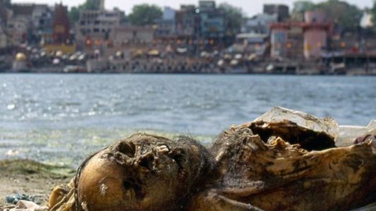 americanii au inghetat cand au auzit am gasit cadavrul lui bin laden pe fundul oceanului cine va