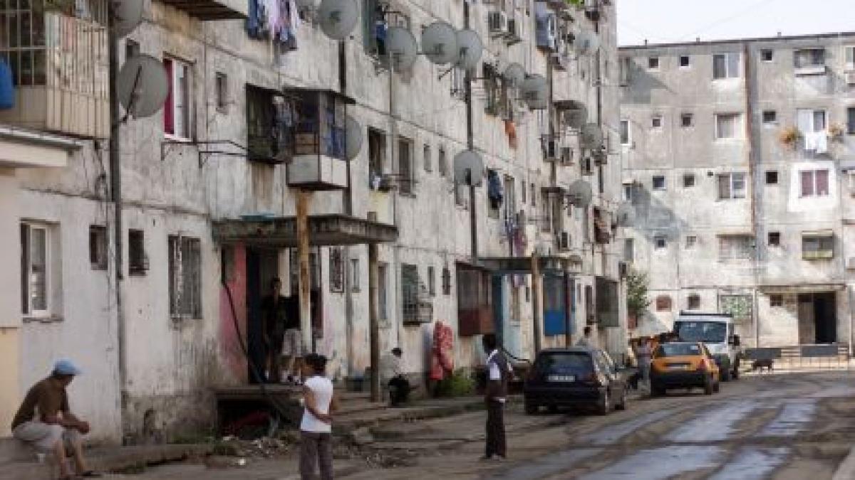 pomi fructiferi in statiile de tramvai si pepeni pe maidanele din ferentari cine are visul asta