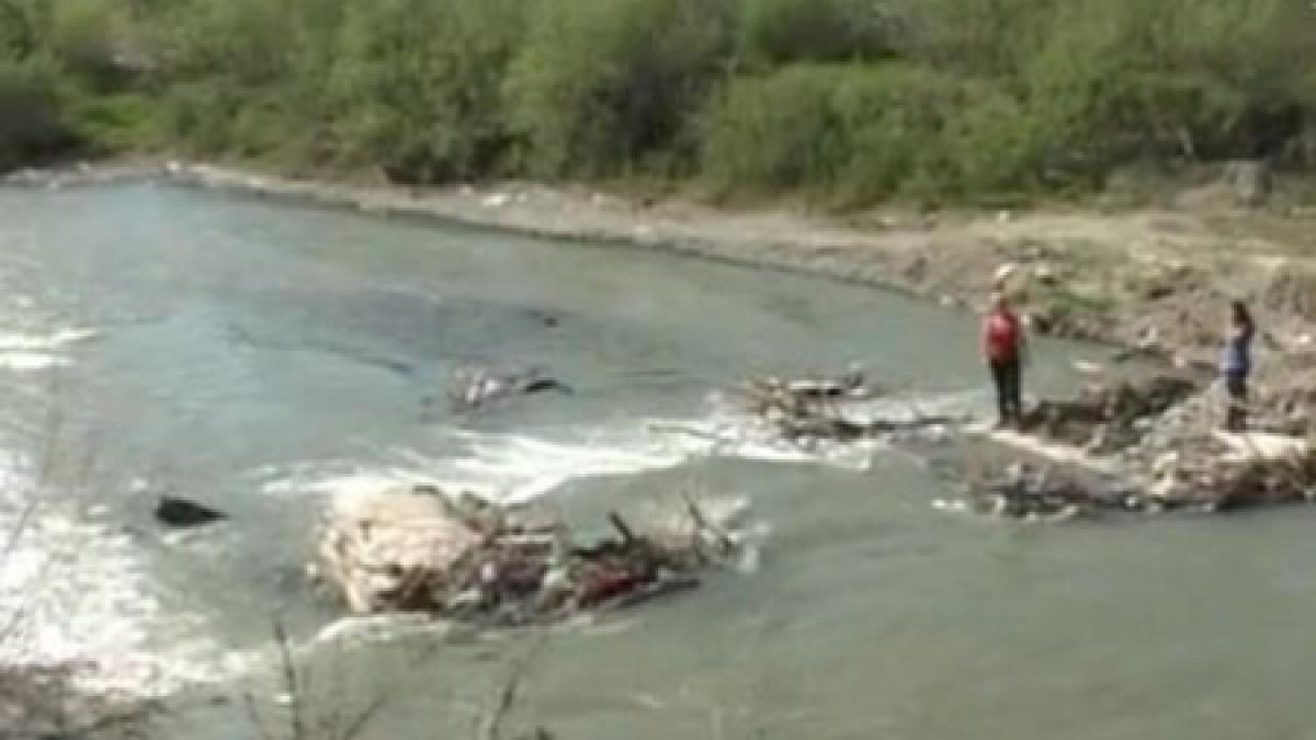 doi tineri au murit inecati in lacul venetia din municipiul iasi