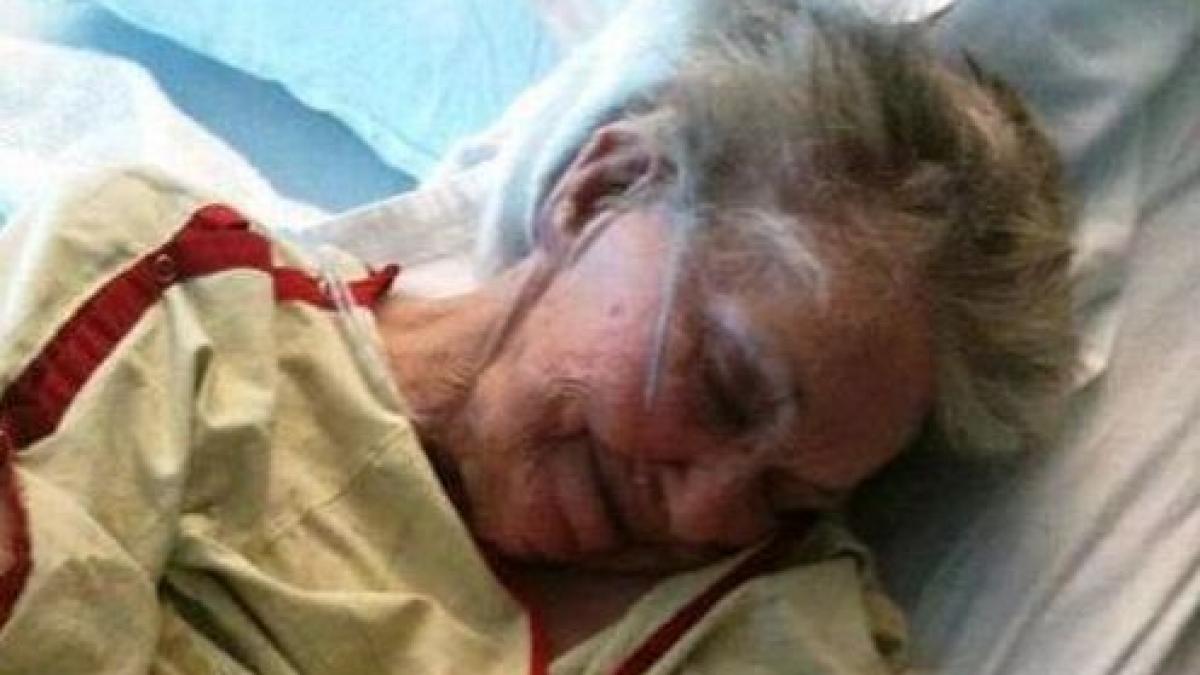 fotografia care a impresionat internetul dovedeste ca animalele pot fi cele mai bune prietene ale