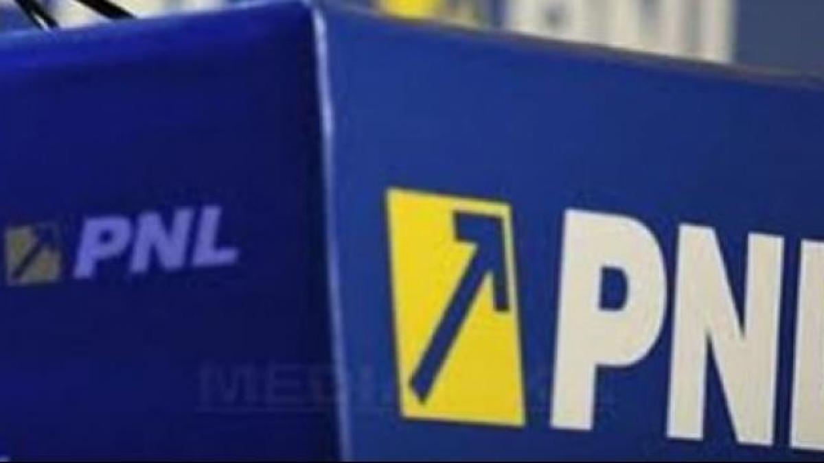 acesta este viitorul romaniei o timisoreanca de 102 ani s a inscris in pnl