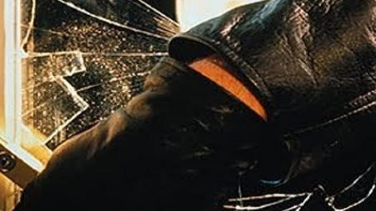 scoala pradata de hoti la sibiu au furat componente de la calculatoare si au devastat mai multe