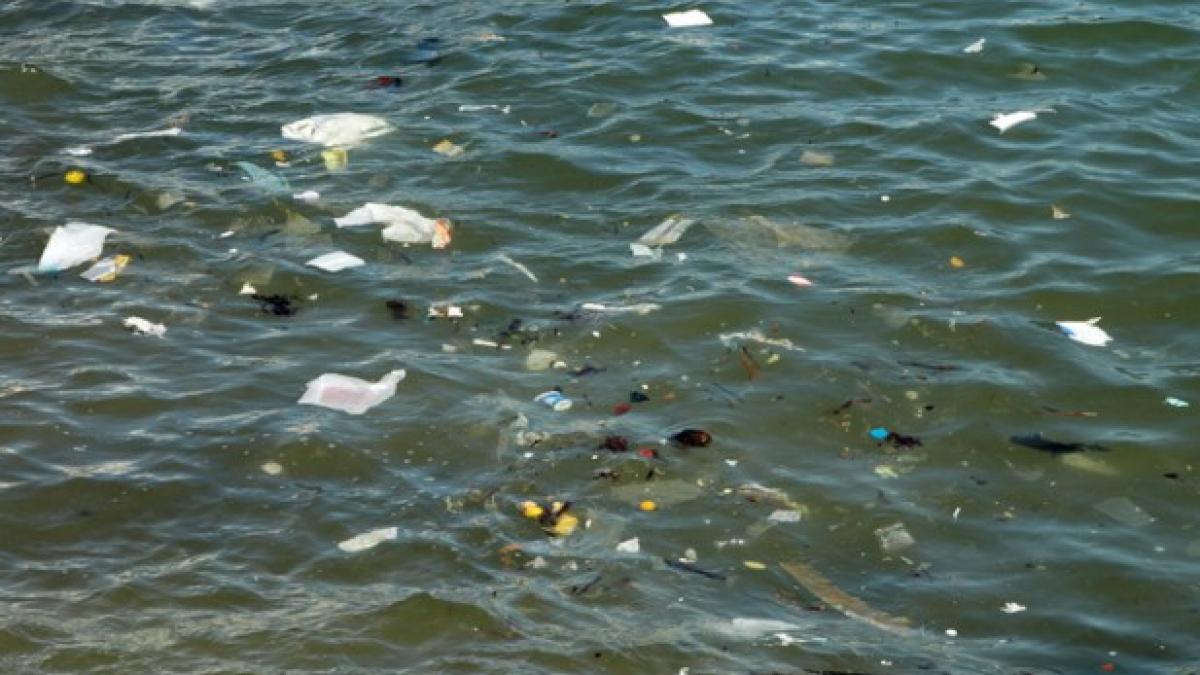 apocalipsa de plastic deseurile din oceanul pacific de 100 de ori mai multe ca acum 40 de ani