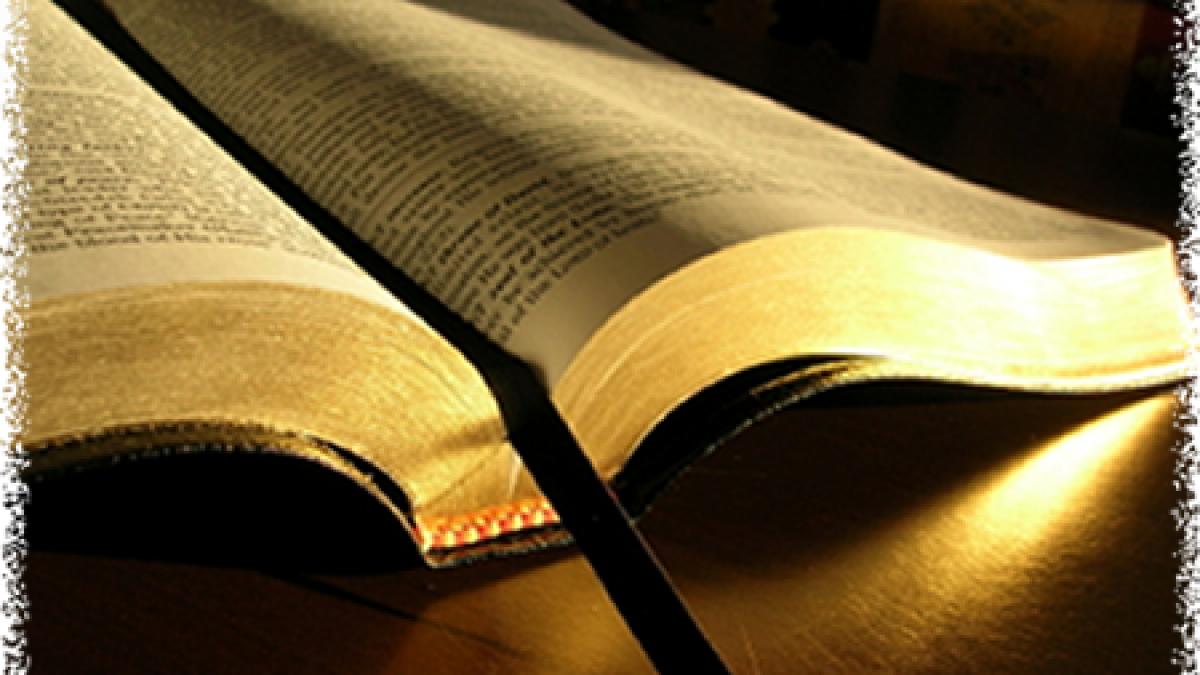 dovezi incontestabile care atesta pasaje din biblie regele david chiar a existat