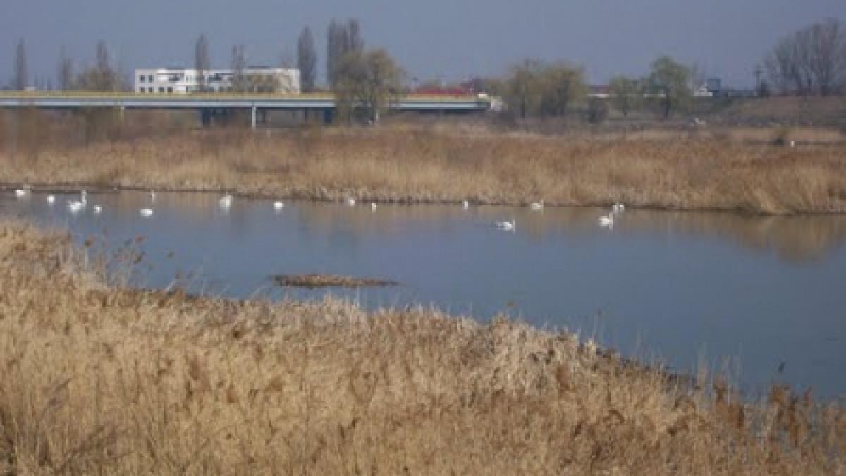 un milliard de lei pentru amenajarea albiei unui rau din mehedinti