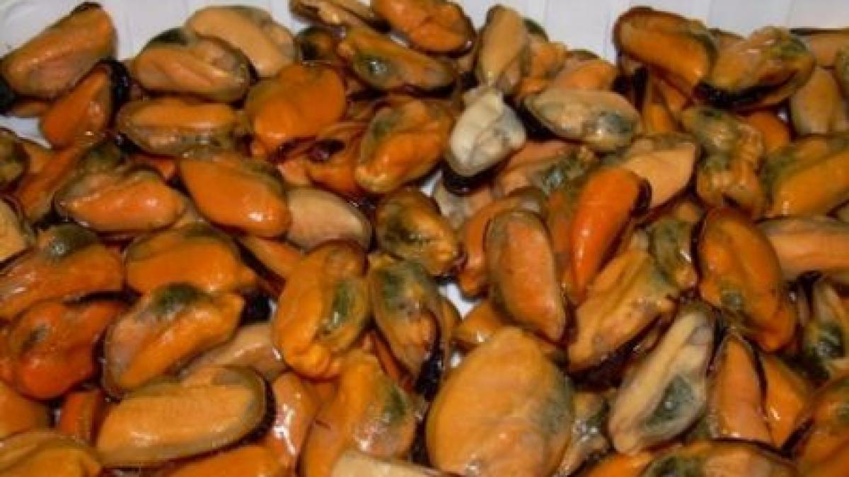 agigea locul cu singura ferma de midii din romania cat de costisitoare este afacerea si care este