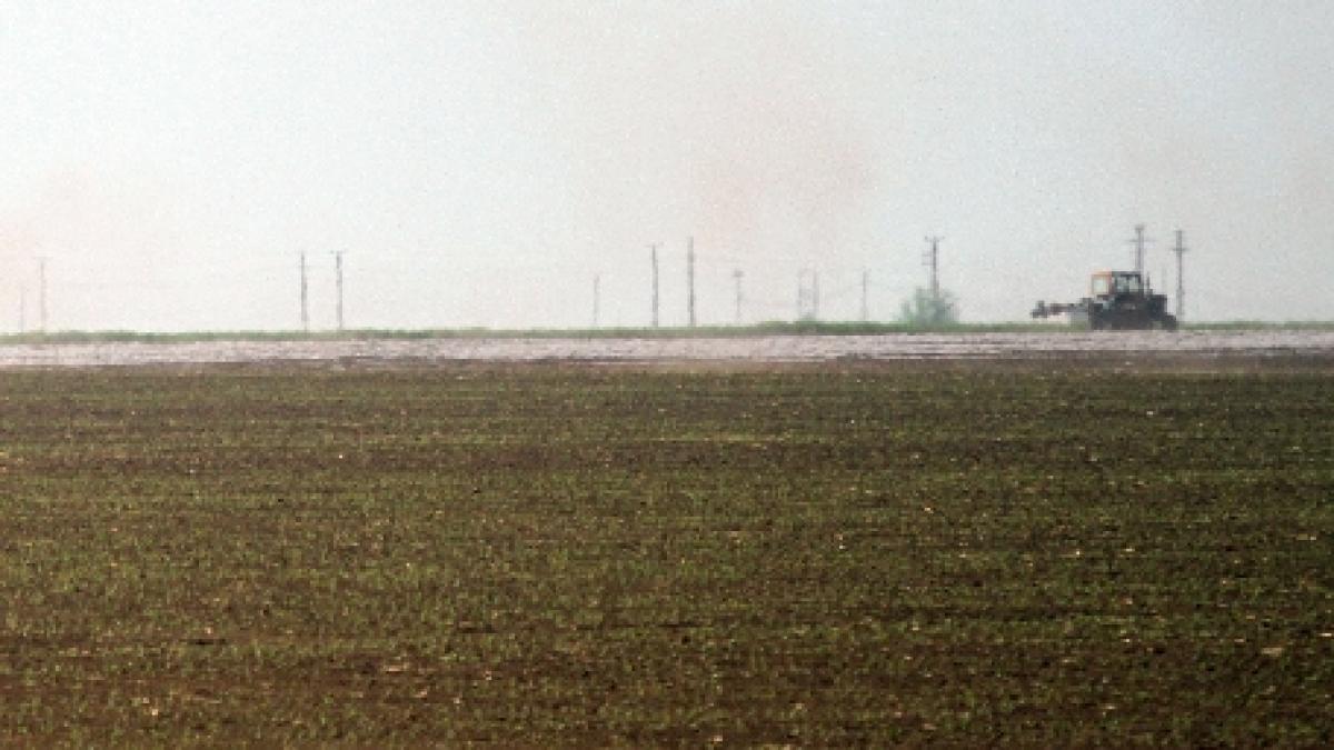 iasi un nou nascut a fost gasit duminica pe un camp