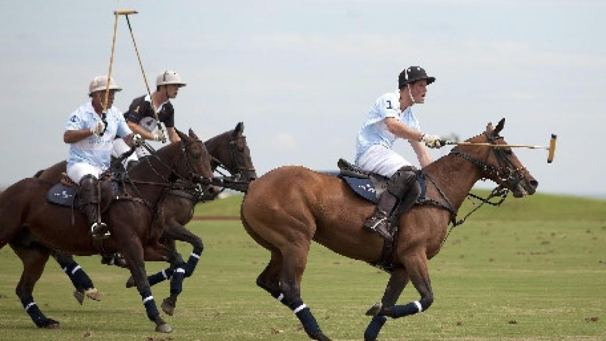printii william si harry si au etalat talentul la polo