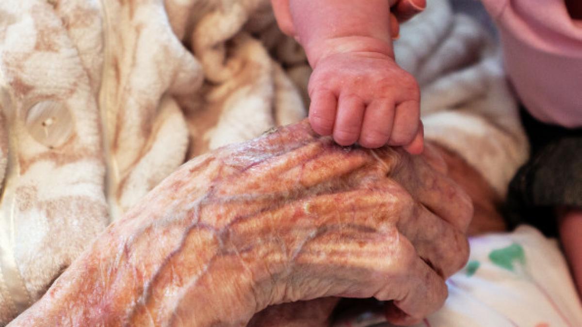 imaginea care a schimbat viata a mii de oameni in cateva ore este cea mai vizionata fotografie din