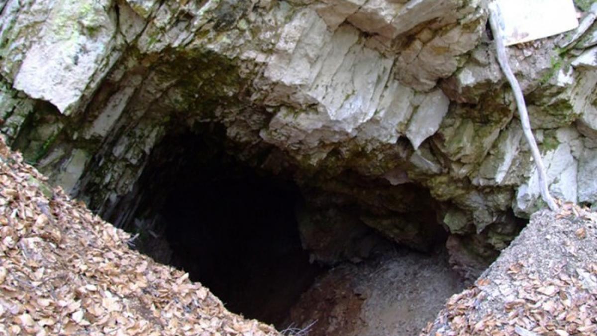 detalii socante puse la cale de rapitorul copilului de 2 ani era intr o grota legat fedeles lasat