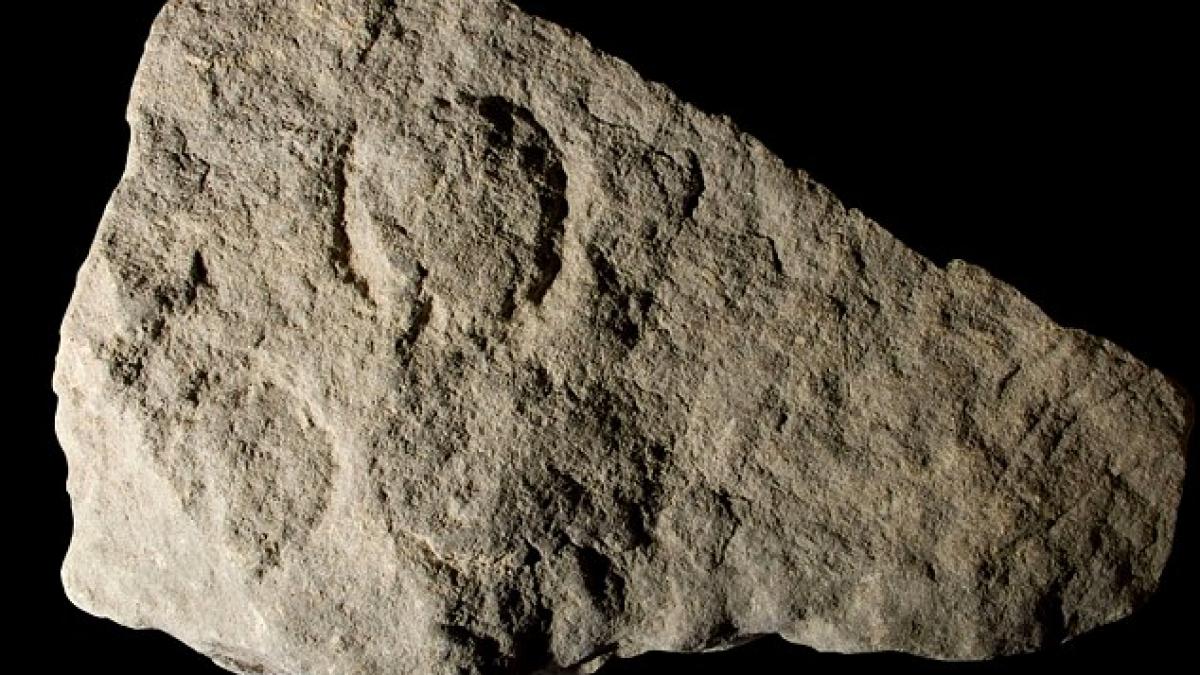 mesajul care a scris istoria descoperirea veche de 37 000 de ani care defineste sexualitatea