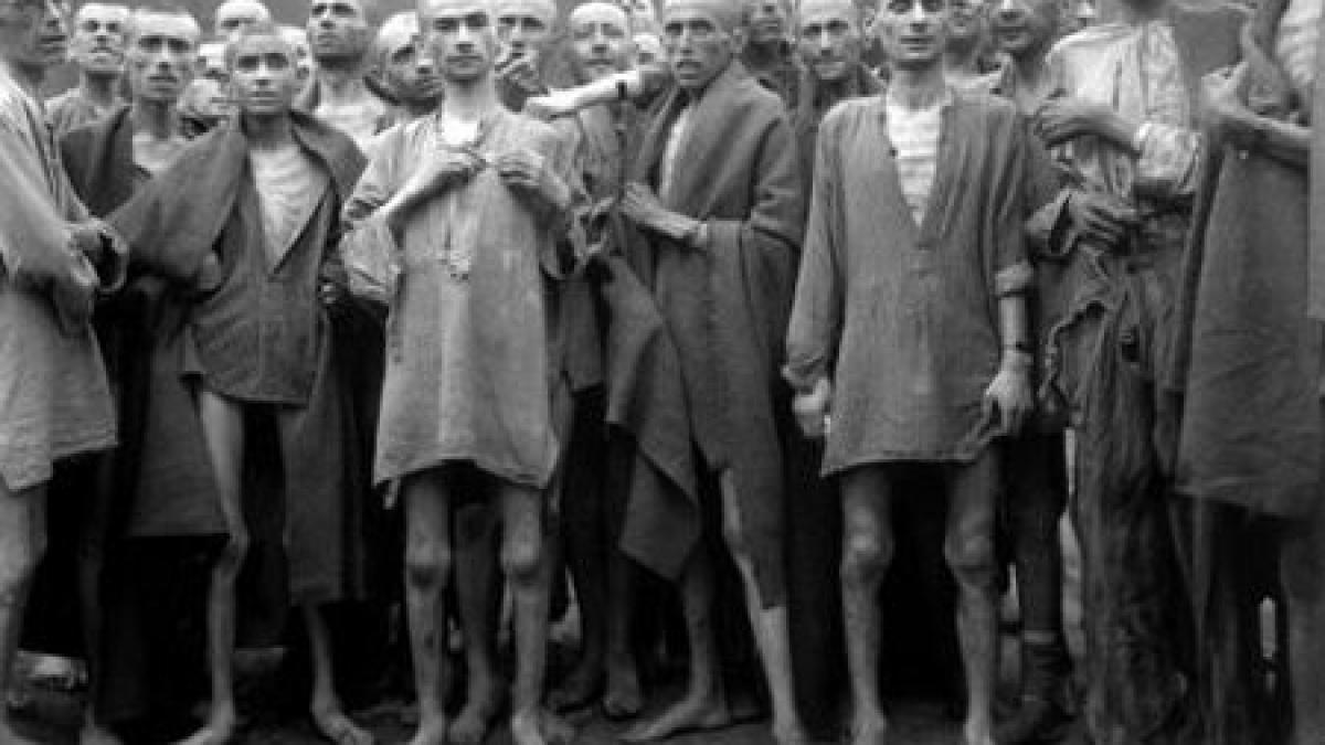 auschwitz care auschwitz nu au existat camere de gazare hitler este o mare personalitate istorica