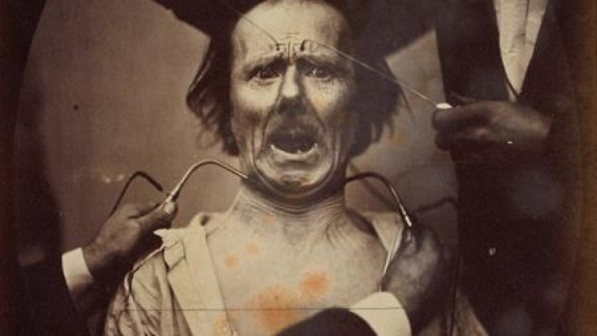 tu ce poti sa spui despre el experiment inedit al lui darwin adus la viata in zilele noastre