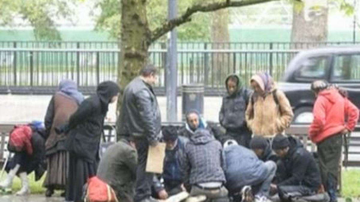 romania participa la jocurile olimpice de la londra cu cersetori