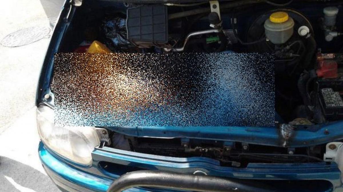 au vazut multe la viata lor dar asa ceva i a socat si pe ei ce au gasit politistii sub capota unei