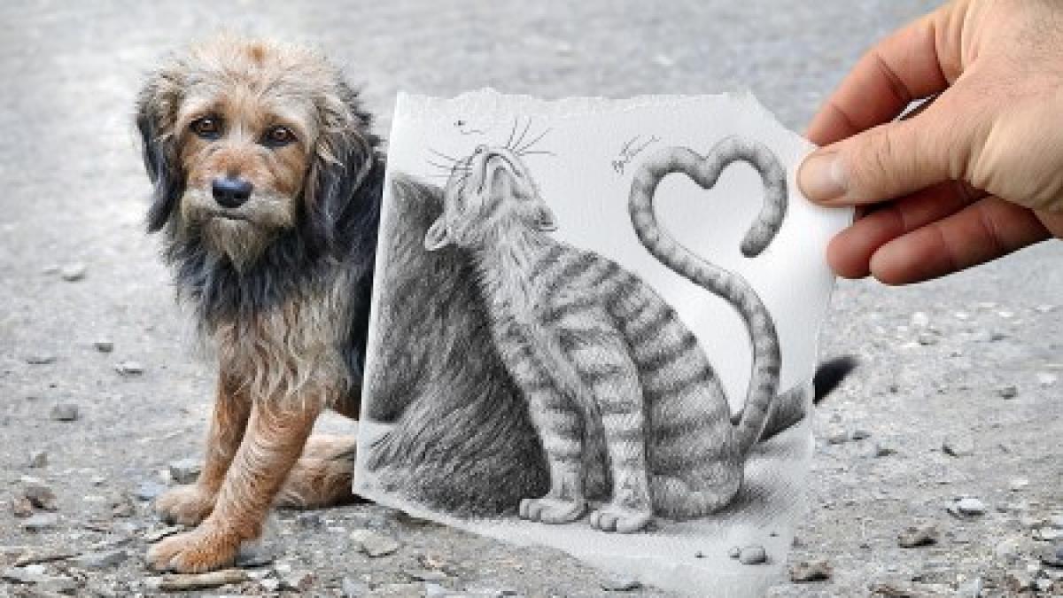 creion vs aparat foto fotografii impresionante cu ajutorul unor colaje de senzatie