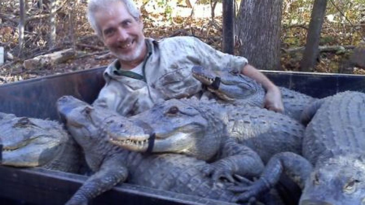 imagini socante un biolog american a fost atacat de un crocodil