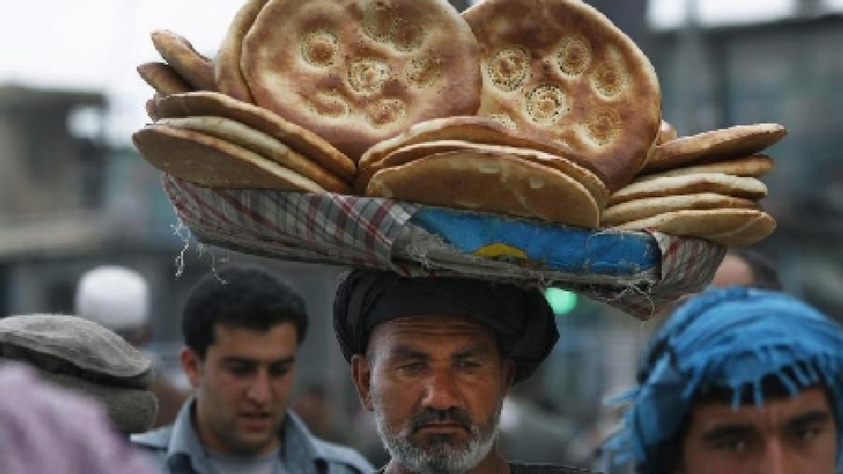 franta asigura sua de solidaritatea aliatilor in afganistan