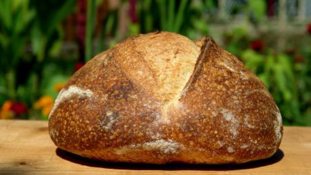 o familie care a lasat capitala pentru deva da lectii de alimentatie sanatoasa ce bunatati prepara