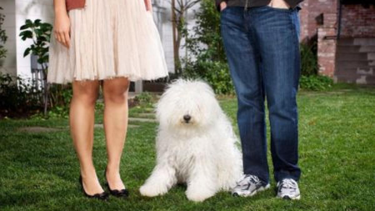 discretie si simplitate mai putin de 100 de invitati la nunta surpriza a lui mark zuckerberg