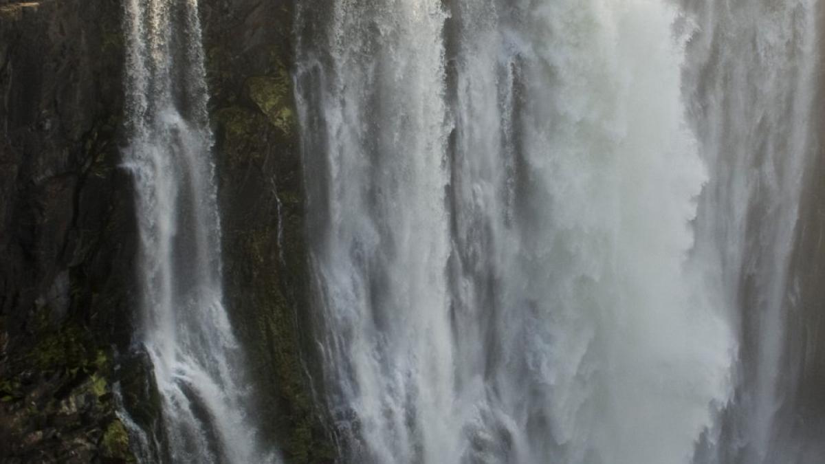 fotografia care iti va taia respiratia numai un om nebun face asa ceva