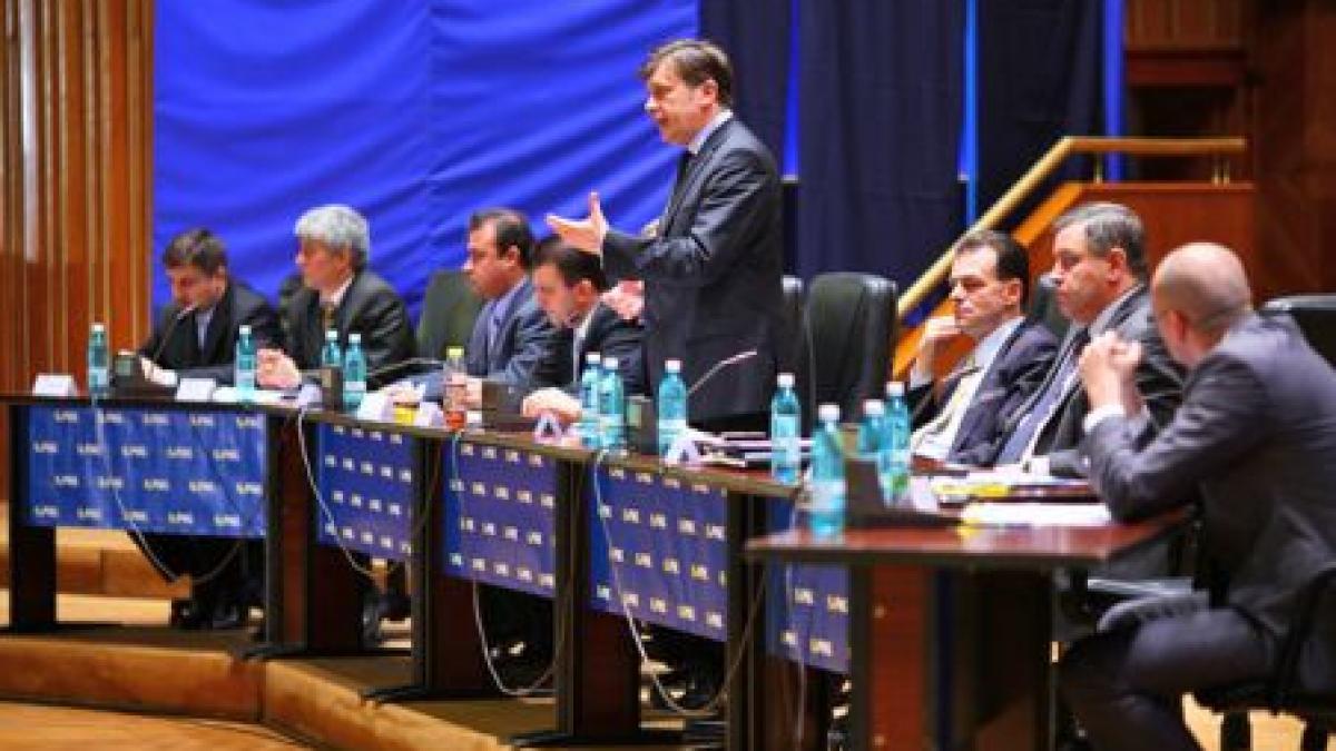 pnl partidul lui ion c bratianu care are in palmares proclamarea independentei romaniei