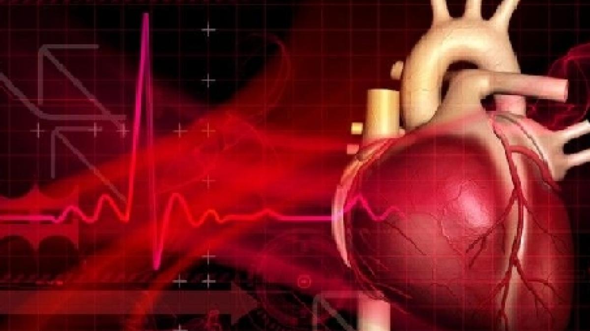 s a facut primul pas spre imortalitate descoperirea care poate vindeca cea mai raspandita boala din