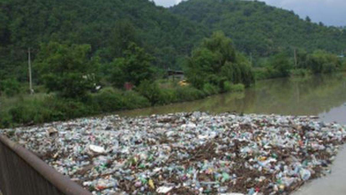 dunarea sufocata de tone de gunoaie aduse de pe versanti de apele umflate ale raului cerna
