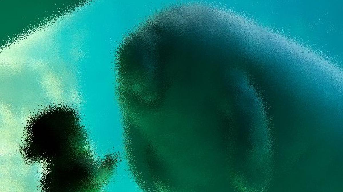 imaginea care a impresionat internetul momentul magic in care un copil intalneste pentru prima oara